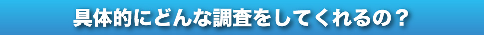 具体的にどんな調査をしてくれるの？
