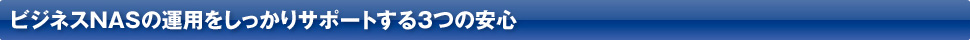 ビジネスNASの運用をしっかりサポートする3つの安心