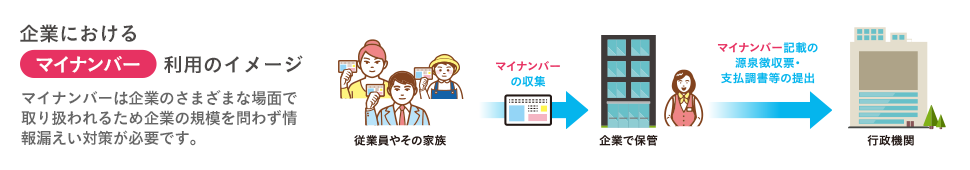 企業におけるマイナンバー利用のイメージ マイナンバーは企業のさまざまな場面で取り扱われるため企業の規模を問わず情報漏えい対策が必要です。