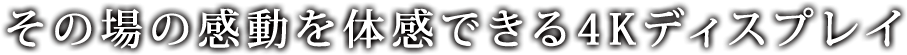 その場の感動を体感できる4Kディスプレイ