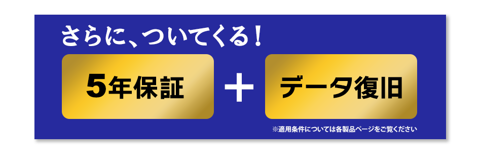 標準5年保証
