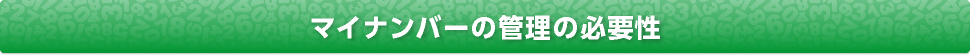 マイナンバーの監理の必要性