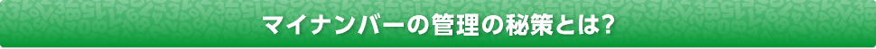 マイナンバーの管理の秘策とは？