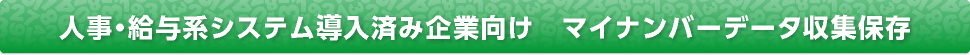 人事・給与系システム導入済み企業向け　マイナンバーデータ収集保存