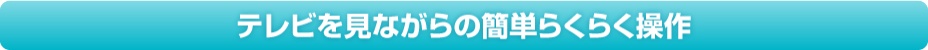 テレビを見ながらの簡単らくらく操作