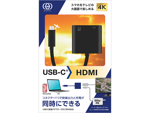 GP-CHDH100/B　パッケージ