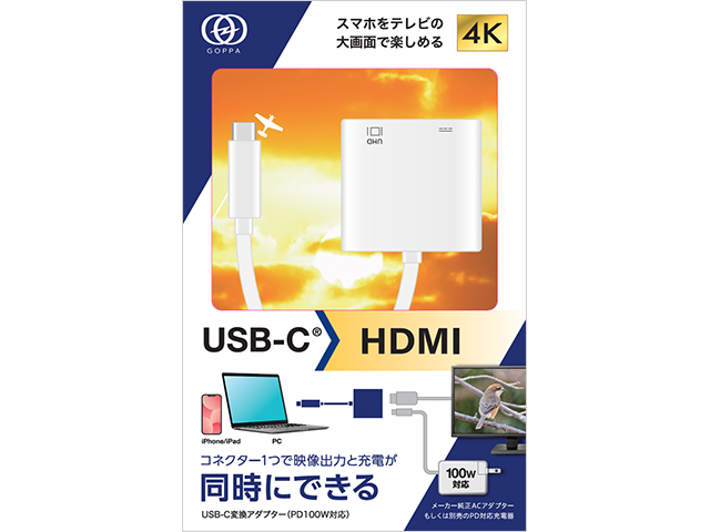 GP-CHDH100/W　パッケージ