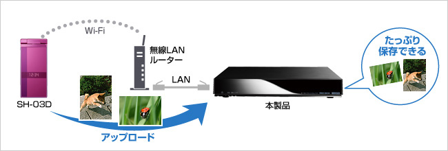 HVL-AVシリーズ | 録画用HDD／SSD | IODATA アイ・オー・データ機器