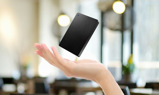 手軽に持ち運べるポータブルHDD