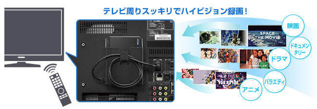 テレビ周りをすっきり