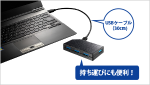 パソコンとの接続に便利なUSBショートケーブル（30cm）添付