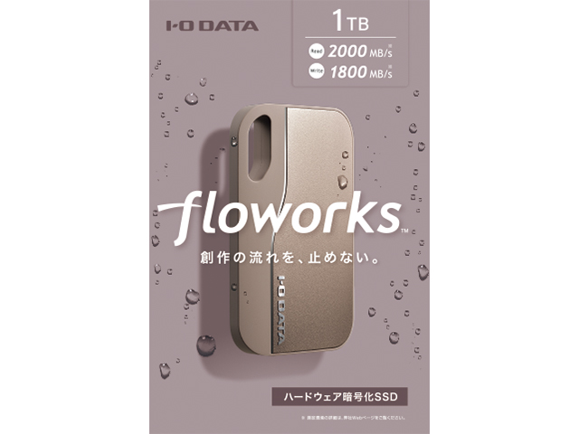 SSCA-SUW1CP（シャンパンゴールド）　1TBパッケージ