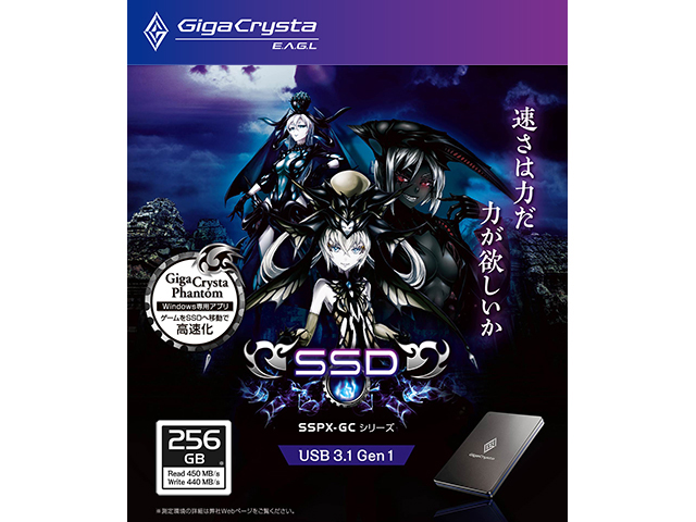SSPX-GC256G　パッケージ