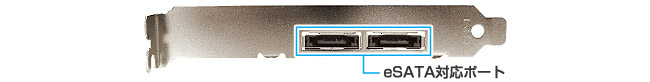 高速eSATAハードディスクを2台接続可能
