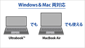 WindowsやMacに対応！