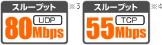 スループット UDP80Mpbs、TCP55Mbps