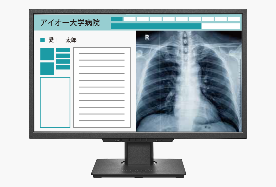 DICOM画像とカラー画像の同時表示が可能