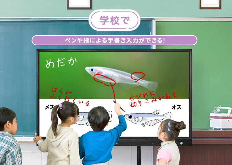 学校で　ペンや指による手書き入力ができる！