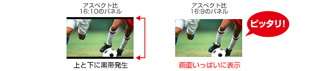 図：ハイビジョンやAV機器にぴったりの16:9パネル