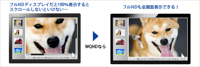 フルHD画像も縮小表示やスクロールすることなくそのまま表示することができる