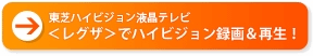 東芝ハイビジョン液晶テレビ〈レグザ〉でハイビジョン録画&再生！