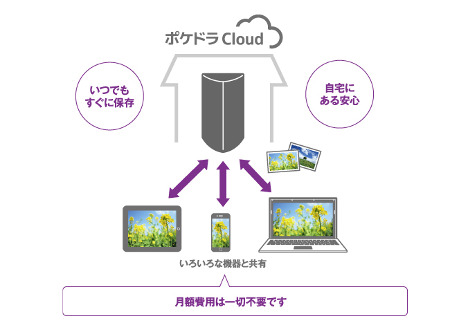 月額費用は一切不要