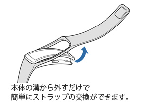 「本体の溝から外すだけで簡単にストラップの交換ができます。」の図