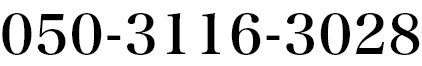 050-3116-3028