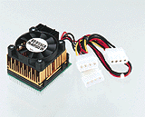 pkmxp233.gif (11130 �o�C�g)