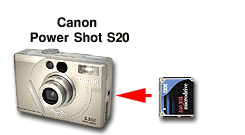 (��)�L���m���@EOS D30�̏ꍇ
