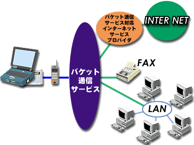 pPbgʐMT[rX