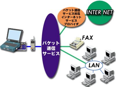 pPbgʐMT[rX