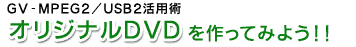 GV-MPEG2/USB2pp@IWiDVDĂ݂悤I