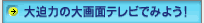 大迫力の大画面テレビでみよう!