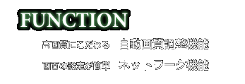FUNCTION