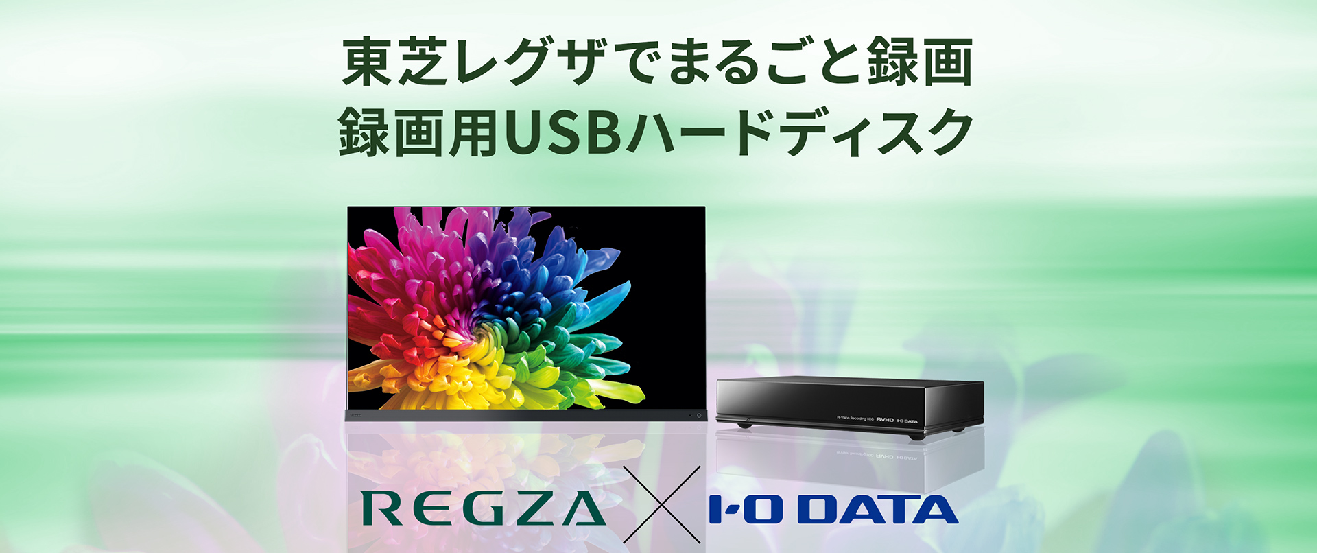 東芝　REGZAハードディスク