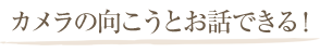 カメラの向こうとお話できる！