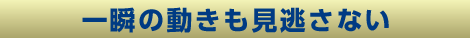 一瞬の動きも見逃さない