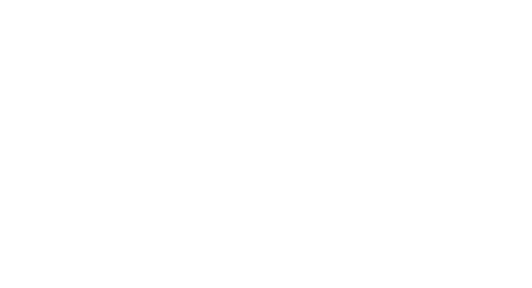 ODD PLAN