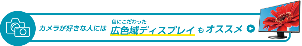 広域色ディスプレイもオススメ