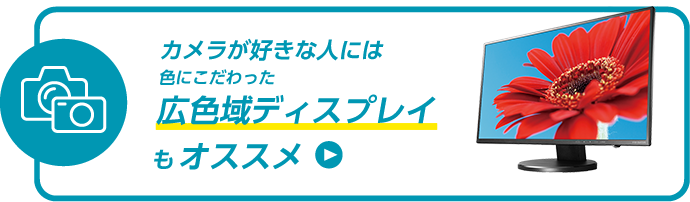 広域色ディスプレイもオススメ