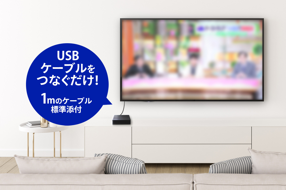 壁掛けテレビの美観を損なわない