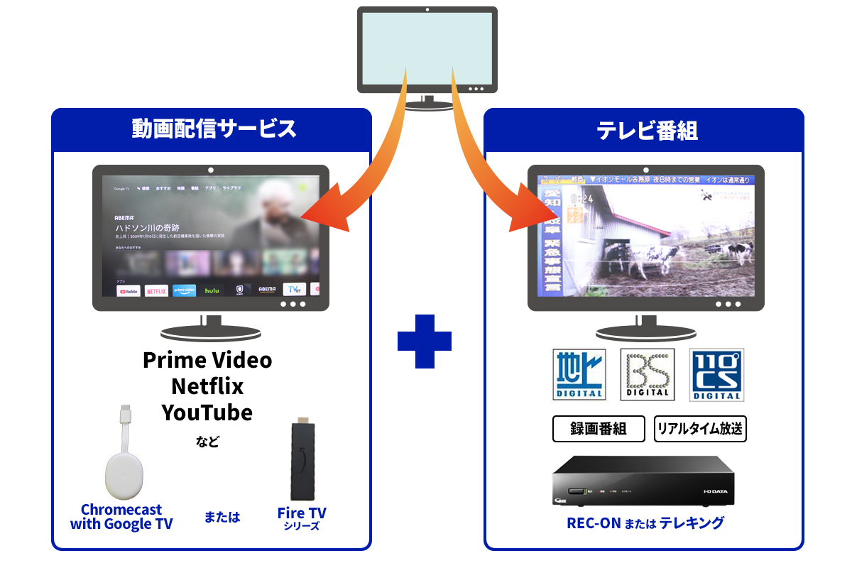 動画配信サービス＋テレビ番組（録画・リアルタイム放送）