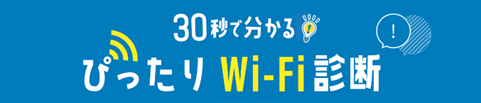 30秒で分かる！ぴったりWi-Fi診断