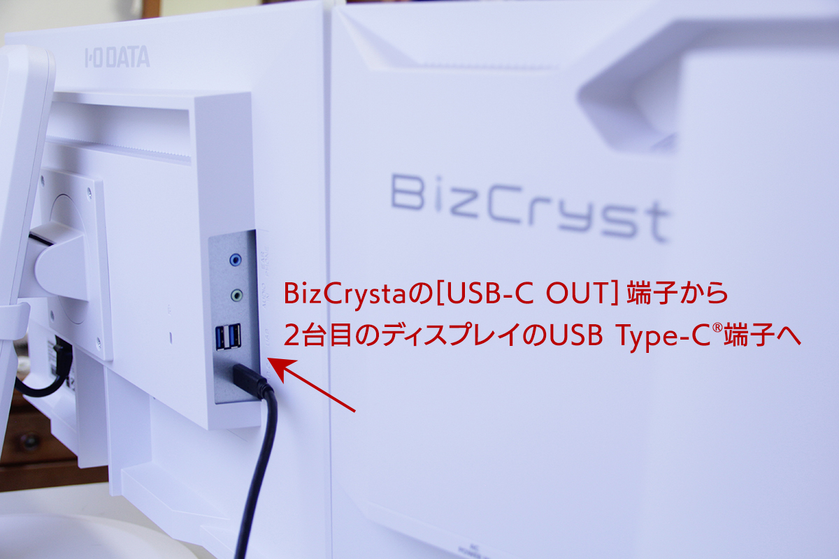 1台目のディスプレイ「BizCrysta」と2台目のディスプレイの背面端子の接続