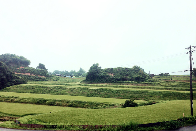 実家の風景