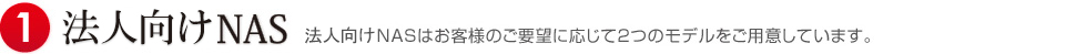 法人向けNASはお客様のご要望に応じて2つのモデルをご用意しています。