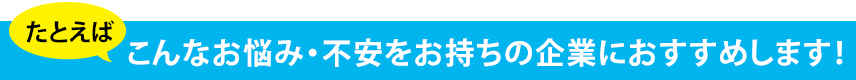 たとえばこんなお悩み・不安をお持ちの企業におすすめします！