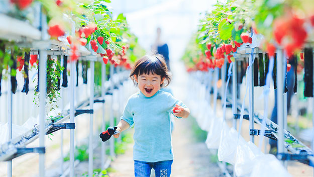 幼稚園時代