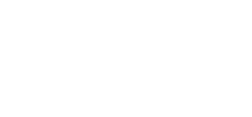 LAN DISK REBORN